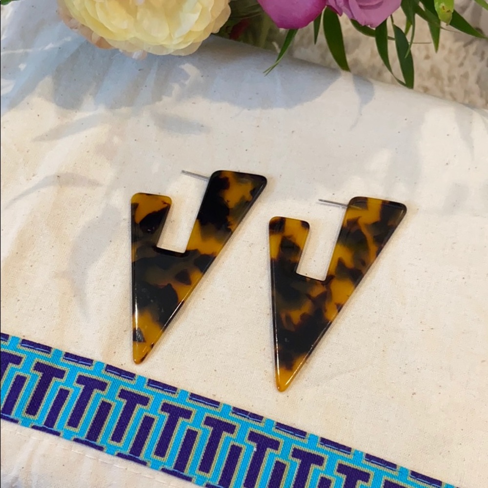 Large Resin Earrings